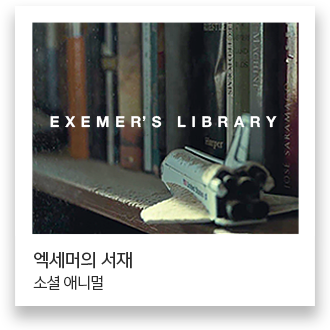 이미지11