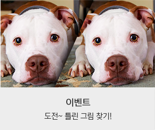이미지9